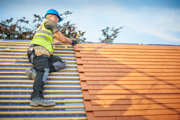 Best Skylight Installation and Repair  in Exmore, VA